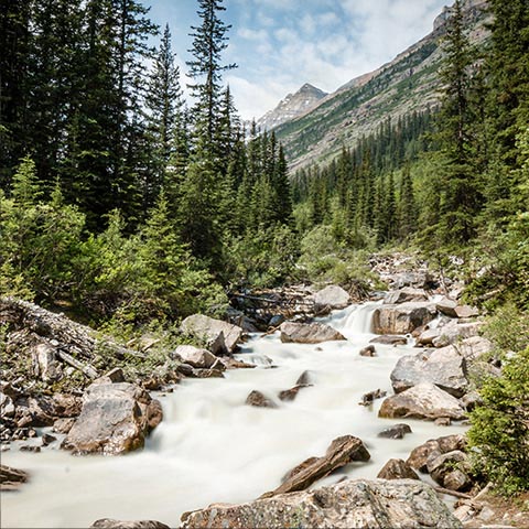 Secluded waterfall (Banff National Park, Alberta, Canada)